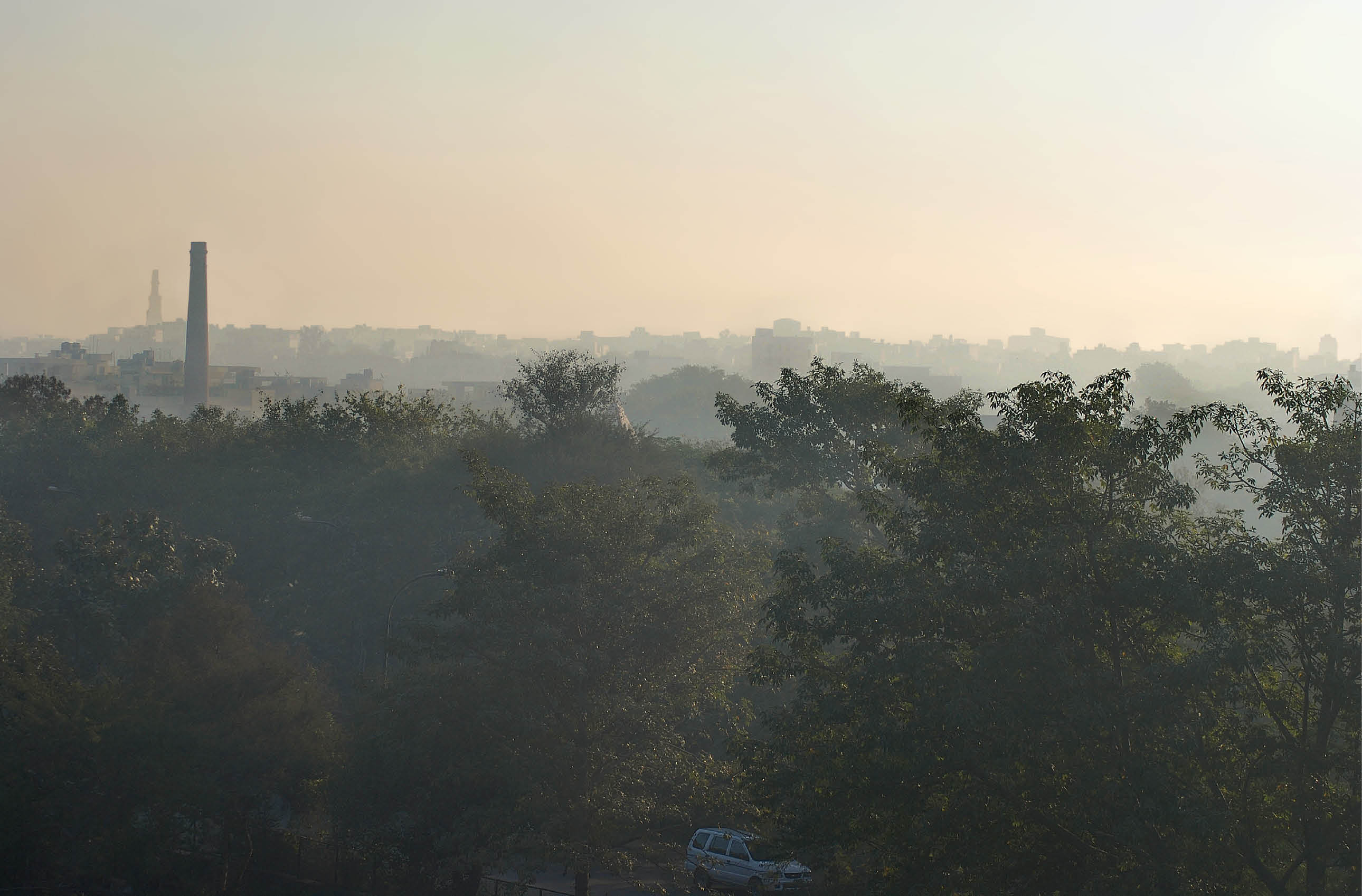 New Environmental Issues